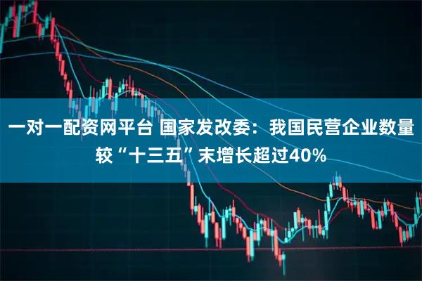 一对一配资网平台 国家发改委:我国民营企业数量较“十三五”末增长超过40%