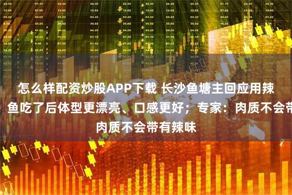 怎么样配资炒股APP下载 长沙鱼塘主回应用辣椒喂鱼：鱼吃了后体型更漂亮、口感更好；专家：肉质不会带有辣味